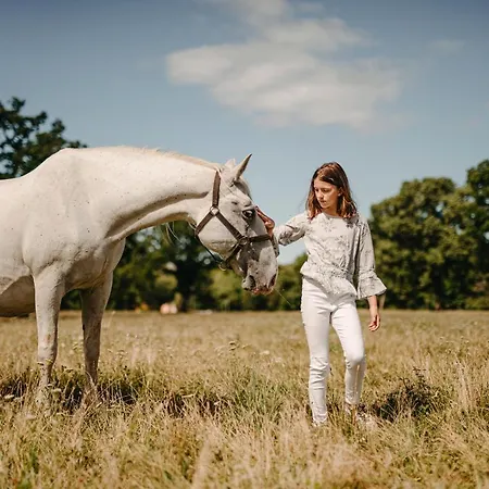 Hotel Maestoso - Lipica