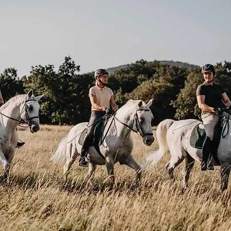 Maestoso - Lipica 4* Sežana