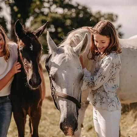 Maestoso - Lipica Ξενοδοχείο 4*