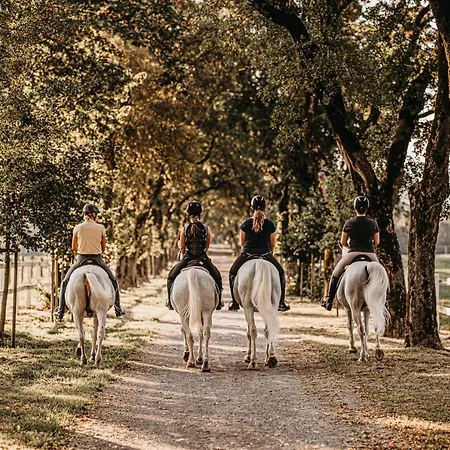 Ξενοδοχείο Maestoso - Lipica 4*