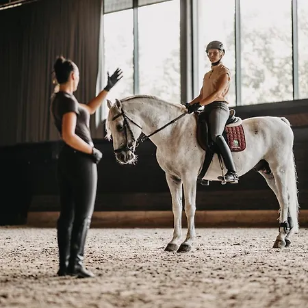 Maestoso - Lipica Hotel