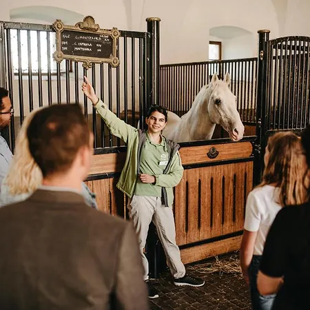 Maestoso - Lipica Ξενοδοχείο 4*