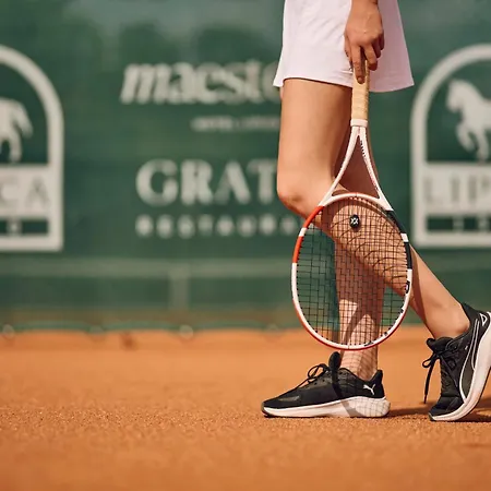 Maestoso - Lipica 4* Sezana