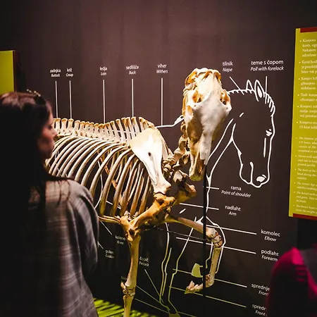 Maestoso - Lipica 4* Sežana