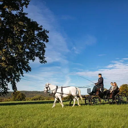 Maestoso - Lipica 4*