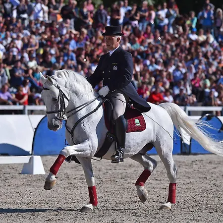 Maestoso - Lipica Sezana