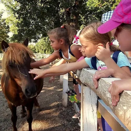 Maestoso - Lipica 4* Sežana