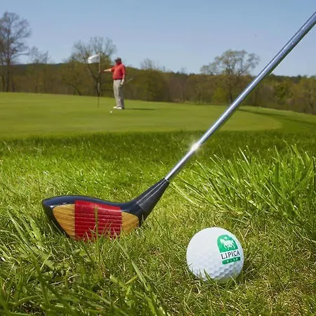 Ξενοδοχείο Maestoso - Lipica