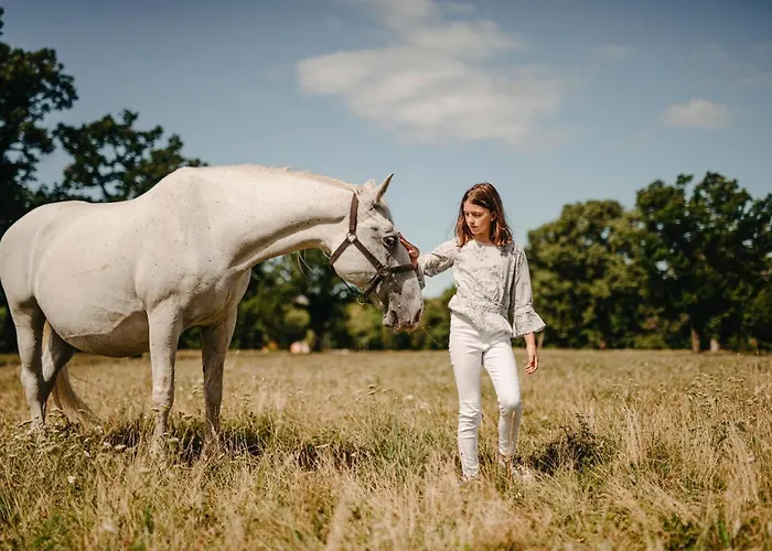 فندق Maestoso - Lipica