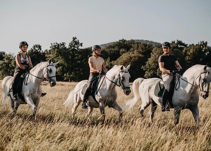 Maestoso - Lipica 4* Sežana