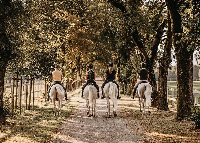 فندق Maestoso - Lipica 4*