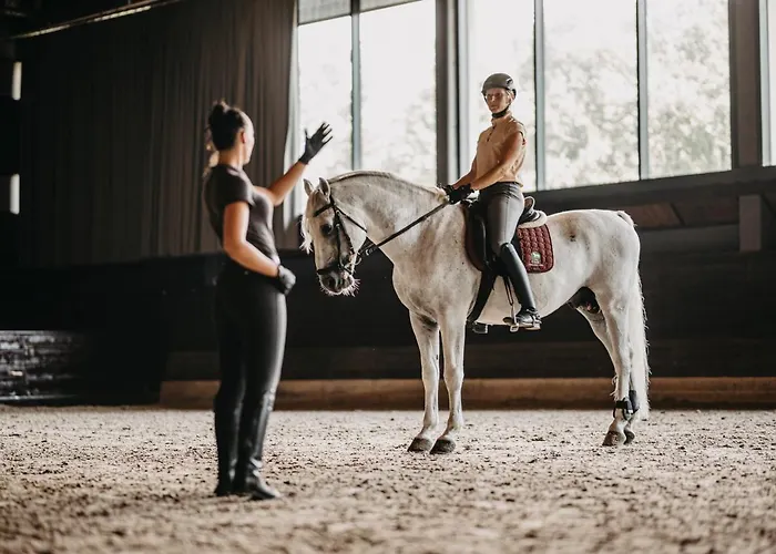 Maestoso - Lipica Hotel