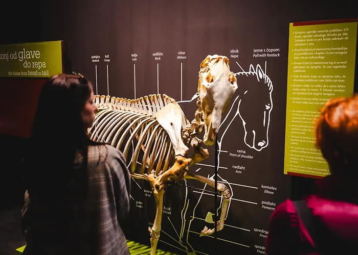 Maestoso - Lipica 4* Sežana