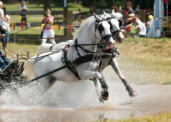 Maestoso - Lipica فندق 4*