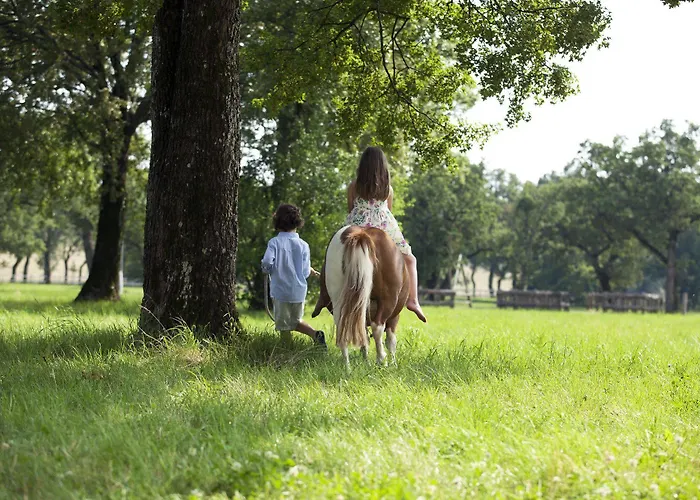 Maestoso - Lipica فندق