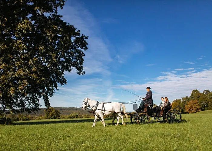 Maestoso - Lipica 4*