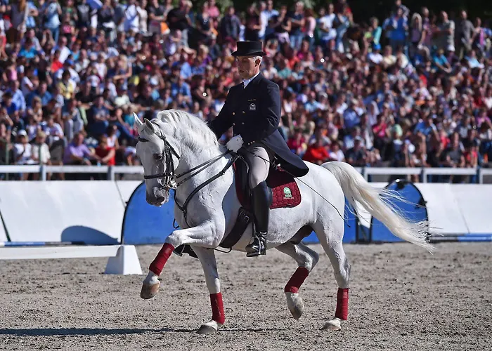 Maestoso - Lipica Sežana