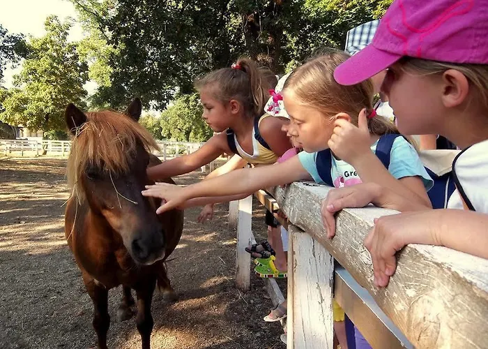 Maestoso - Lipica 4* Sežana